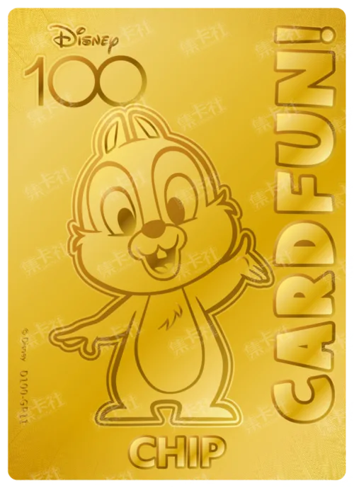 Chip