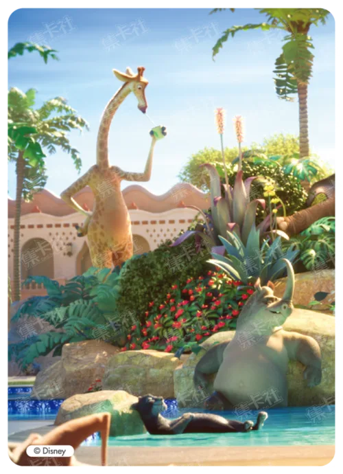 Background Card