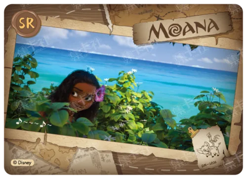 SR - Adventure Memoirs