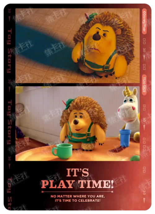 Memory Film Card