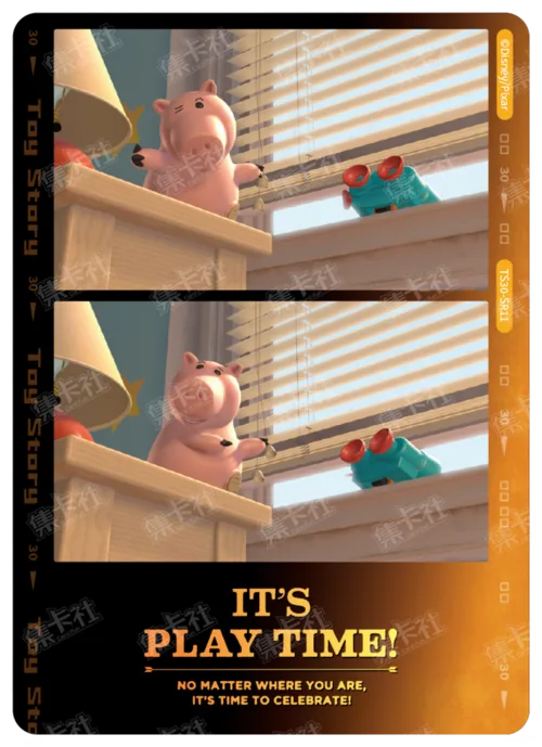 Memory Film Card