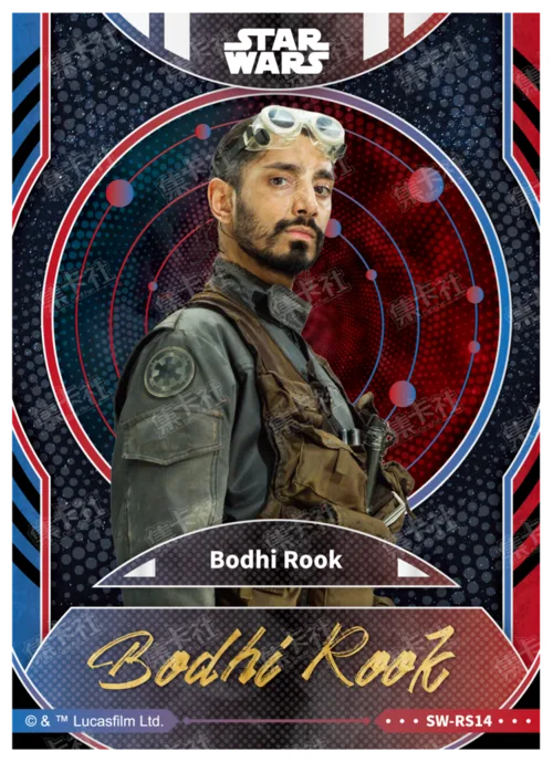 BODHI ROOK
