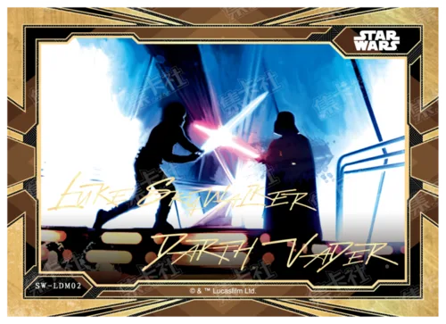 LUKE SKYWALKER & DARTH VADER 