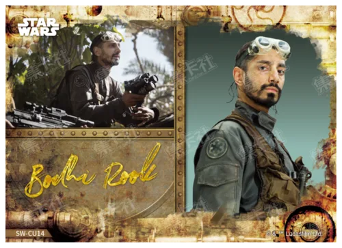 BODHI ROOK