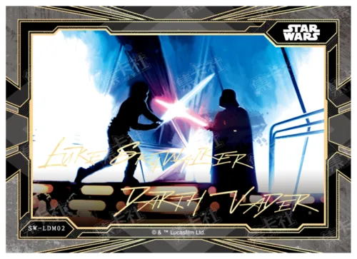 LUKE SKYWALKER & DARTH VADER 