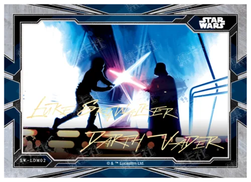 LUKE SKYWALKER & DARTH VADER 