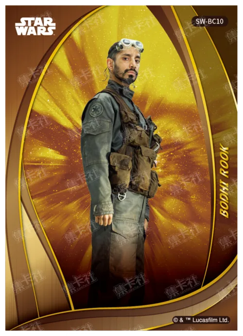 BODHI ROOK