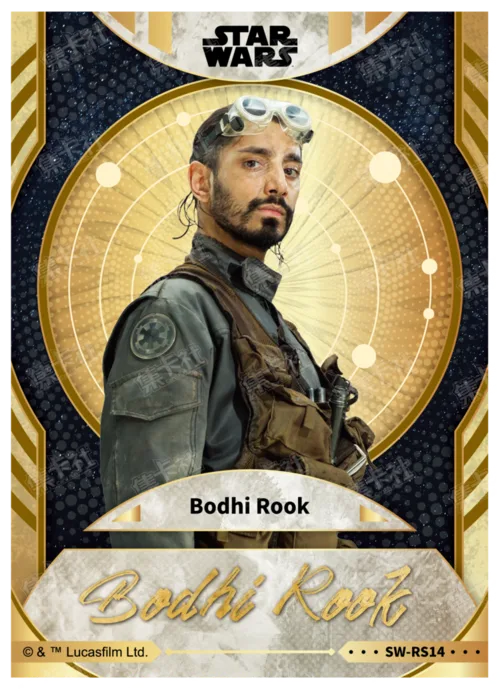 BODHI ROOK
