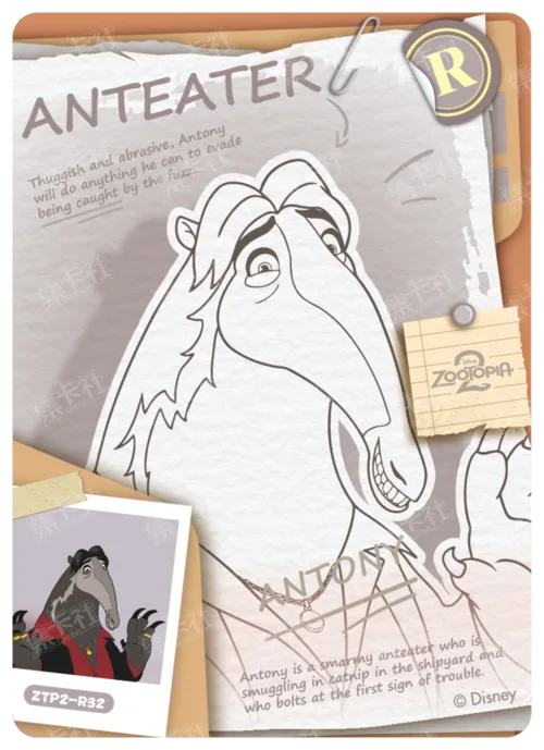Case File Card