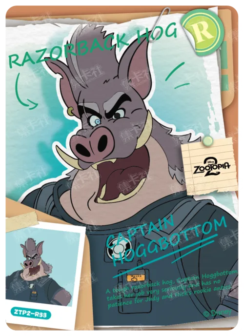 Case File Card