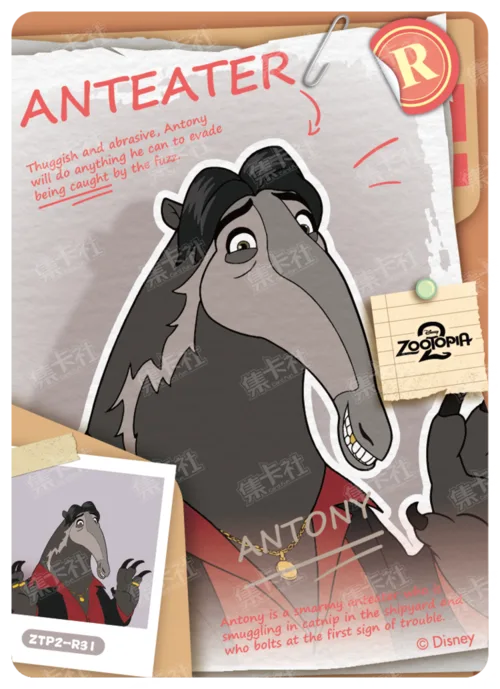 Case File Card