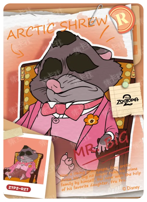 Case File Card
