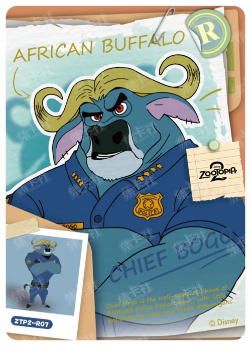 Case File Card
