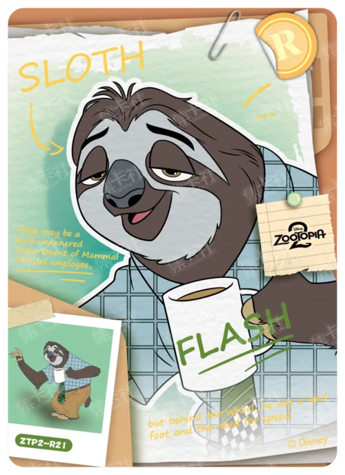 Case File Card