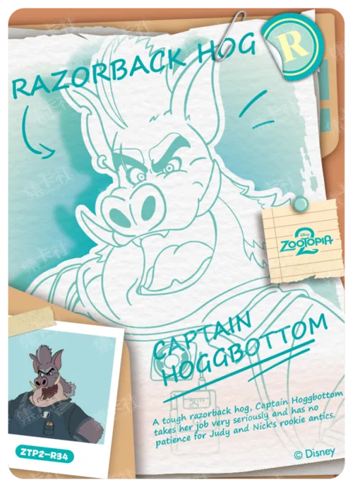 Case File Card
