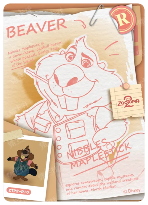 Case File Card