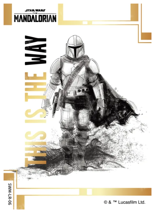 THIS IS THE WAY