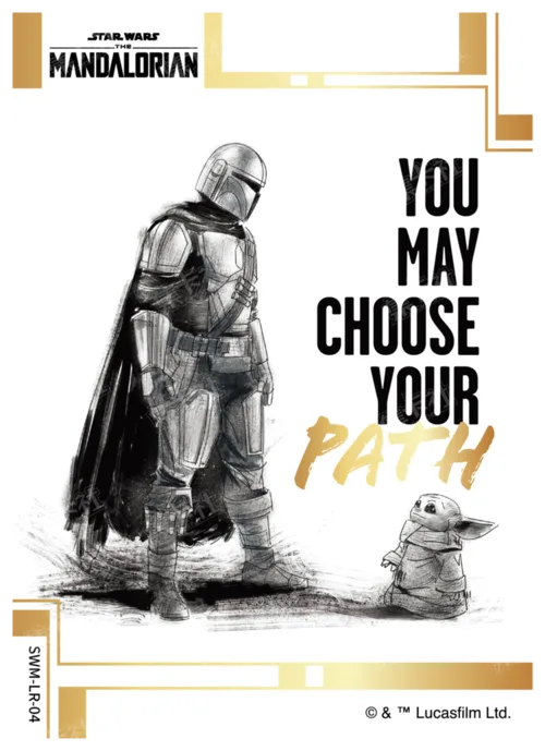 YOU MAY CHOOSE YOUR PATH