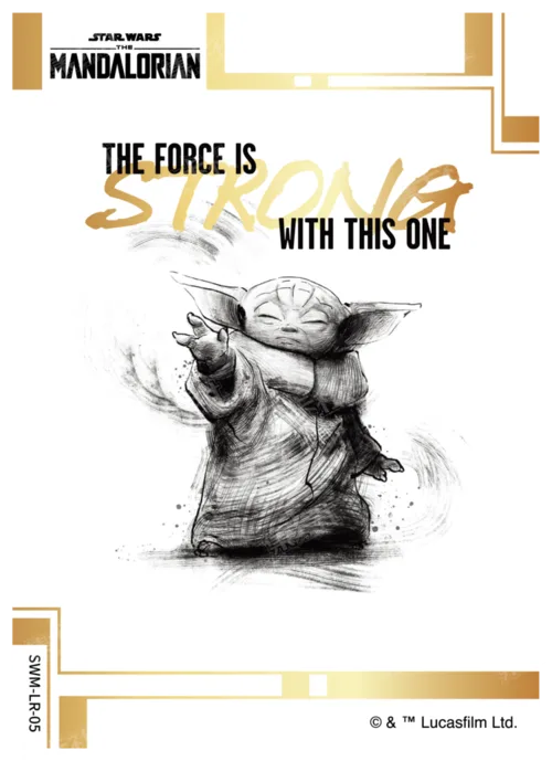 THE FORCE IS STRONG WITH THIS ONE